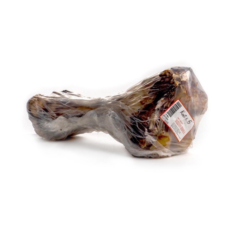 Falco Bone no. 5 - size up to 50cm